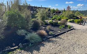 Pukeko Lane